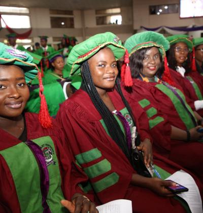 A Cross Section Of Matriculating Doctorate Students